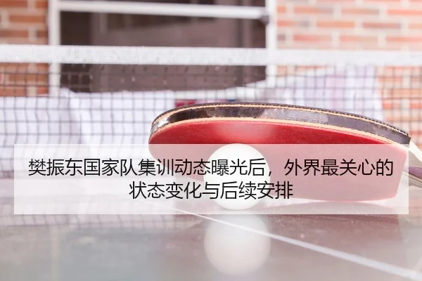 樊振东国家队集训动态曝光后，外界最关心的状态变化与后续安排